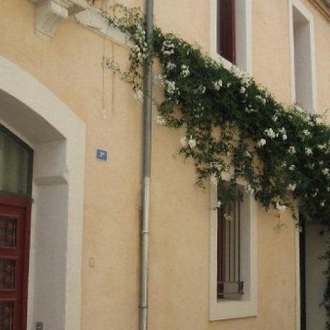 micro flowering projects around the city