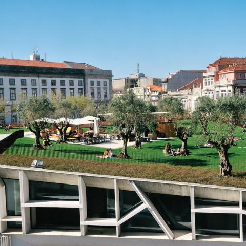 Jardim das oliveiras