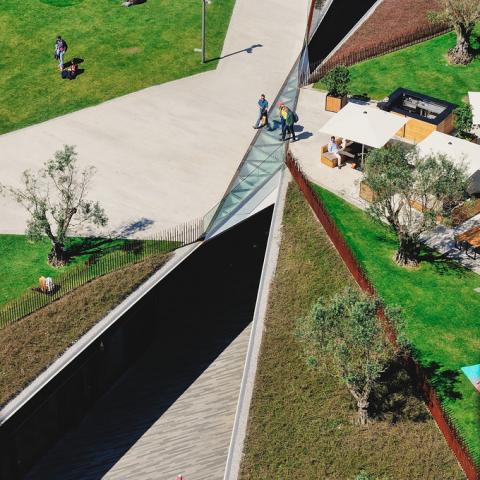 Jardim das oliveiras