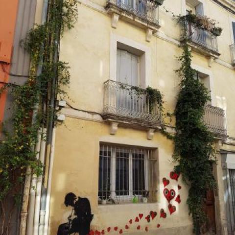 micro flowering projects around the city