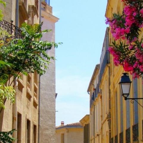 micro flowering projects around the city