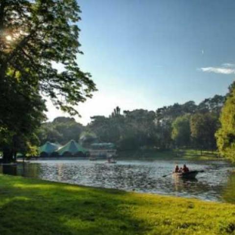 View of the park during 