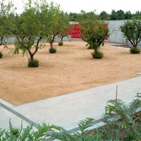 LILLE MOSAIC COMMUNITY GARDEN