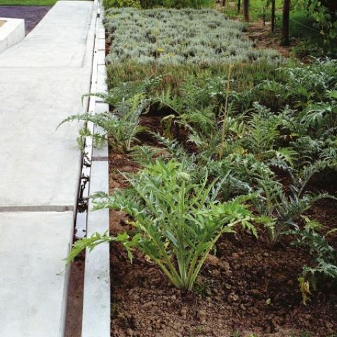 LILLE MOSAIC COMMUNITY GARDEN