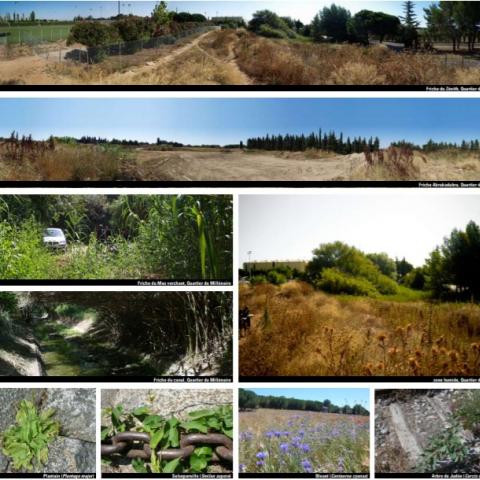 abandoned areas mgmt strategy