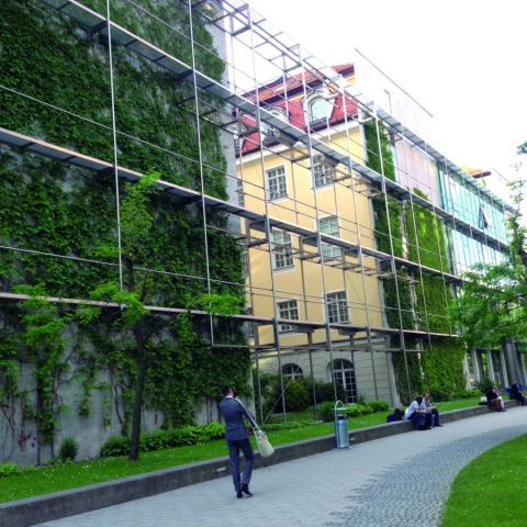 Greening Office for Citizens