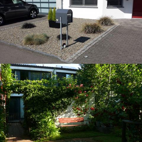 Greening Office for Citizens