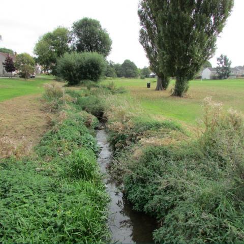 Guphill Brook 5
