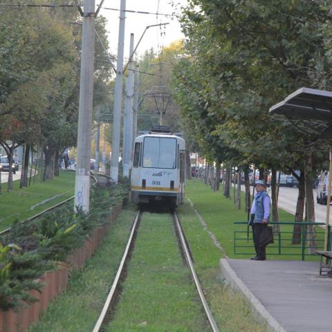 Tram and the view of the lines covered with turf