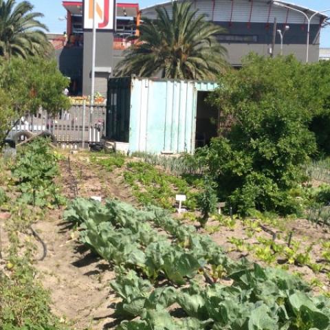 Organic Without Borders