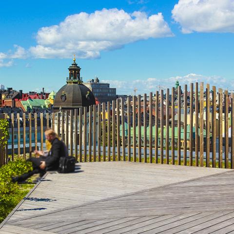 Sveavägen 44. Taklandskap