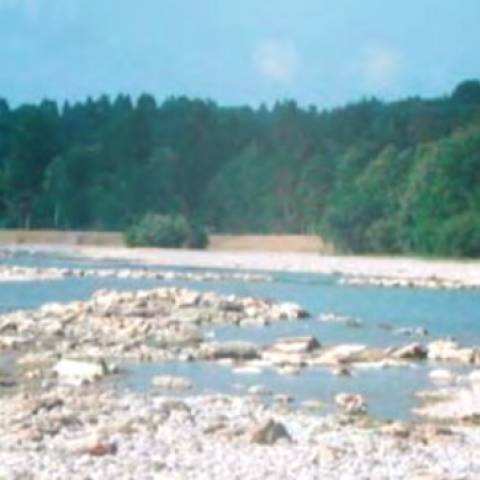 Semi-natural riverside creation for Isar river