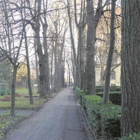 Secret Garden in Cracow