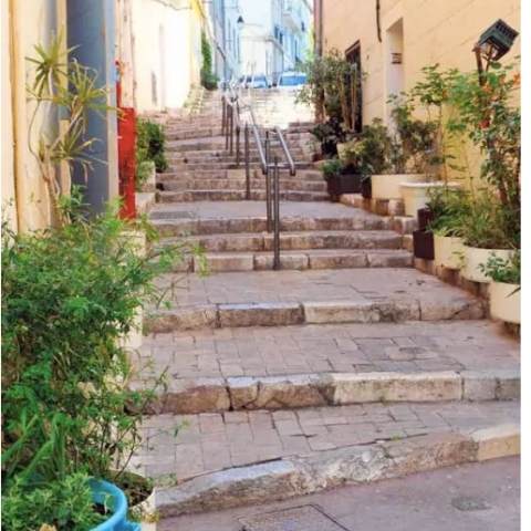 Plants along stairway of narrow alley
