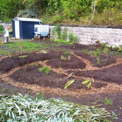 Transition Town Garden Bielefeld