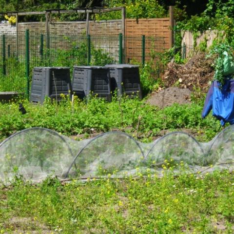 Transition Town Garden Bielefeld