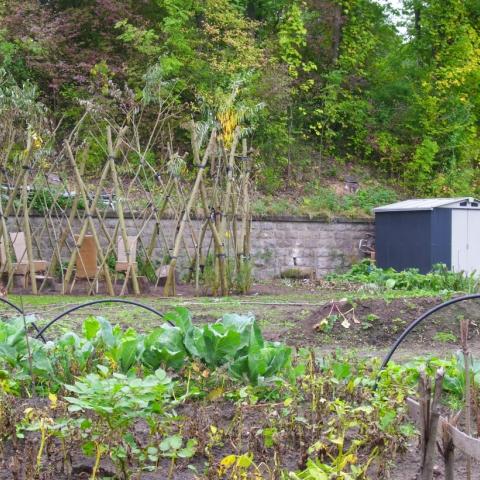 Transition Town Garden Bielefeld