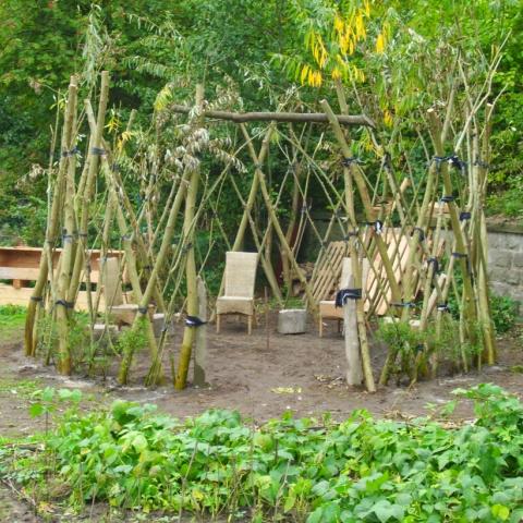 Transition Town Garden Bielefeld