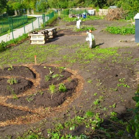 Transition Town Garden Bielefeld