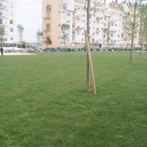 Opening of Cavaleira Park