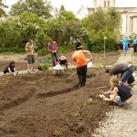 Working in the garden
