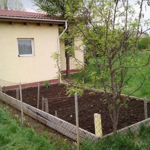 Photos of the garden in April 2016