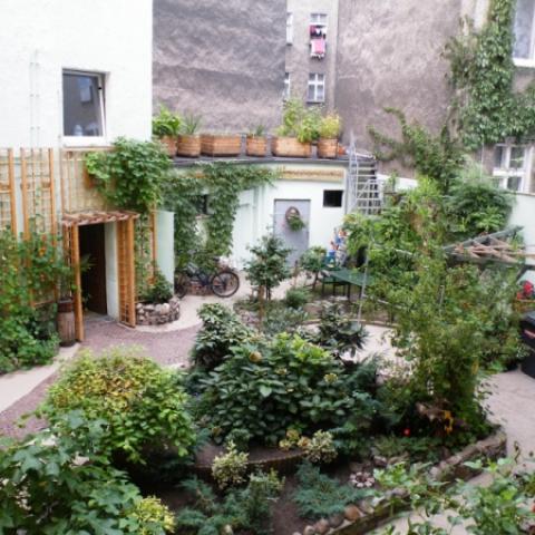 Green courtyards of Szczecin