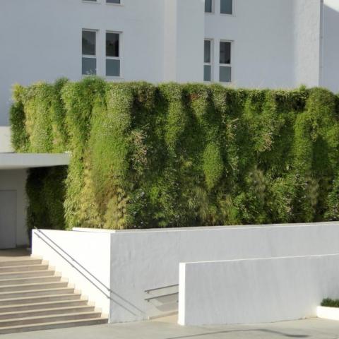 Vertical Garden in front of the Hotel 