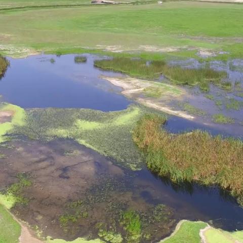 Panoramic view of the wetland 