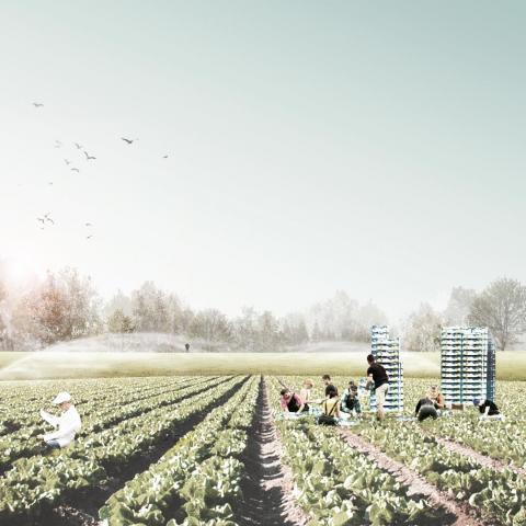 Perpetuum Mobile (Paljassaare - Tallinn, Estonia)