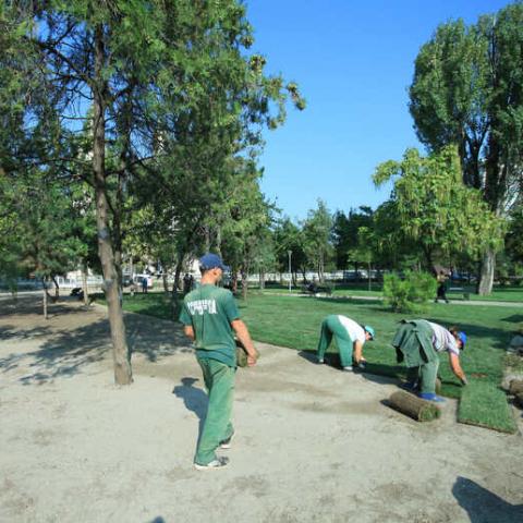 View of the park during intervention