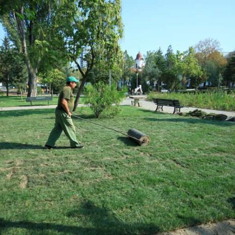 View of the park during intervention
