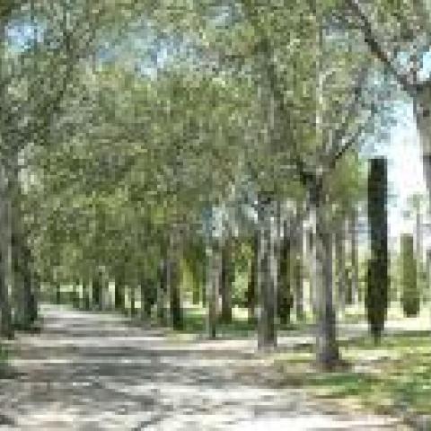 Lo Morant Park