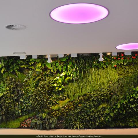 Vertical Garden, InternetSupport Bielefeld