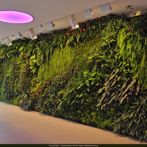 Vertical Garden, Internet Support Bielefeld