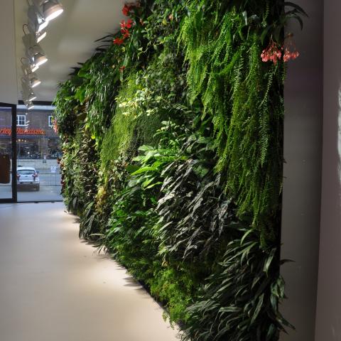 Vertical Garden, Internet Support Bielefeld