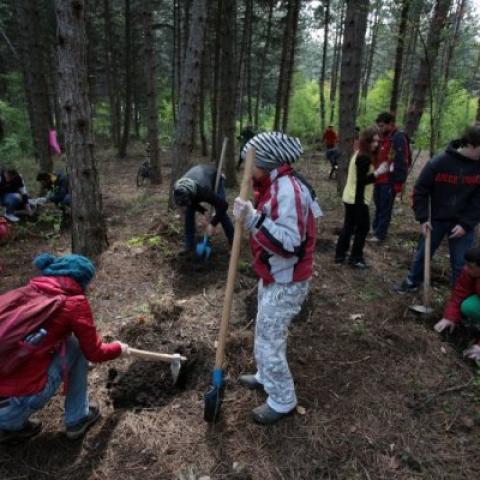 3000 tree planting event at Zapaden Park