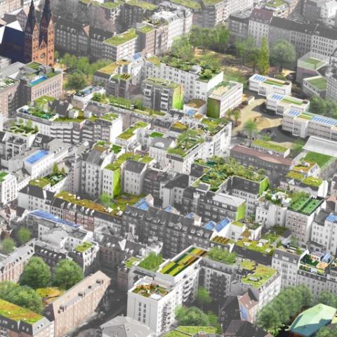 Green roofs aerial photo