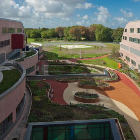 ALDER HEY. LIVERPOOL. UK