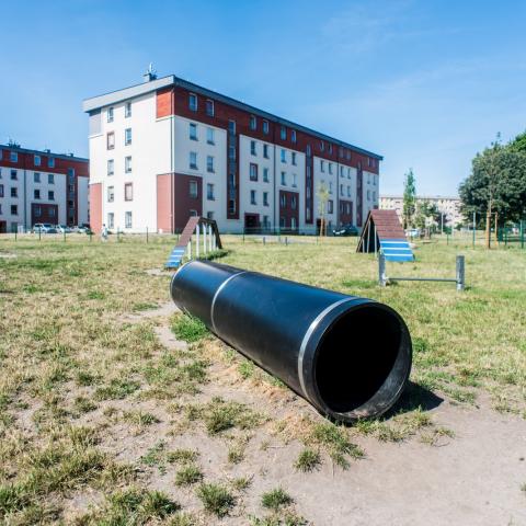 Dog's park in Gdynia