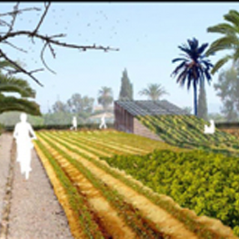 Urban ecosystem, microclimate and water management