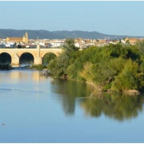 Guadalquivir 2