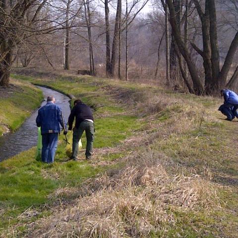 The cleaning of the river