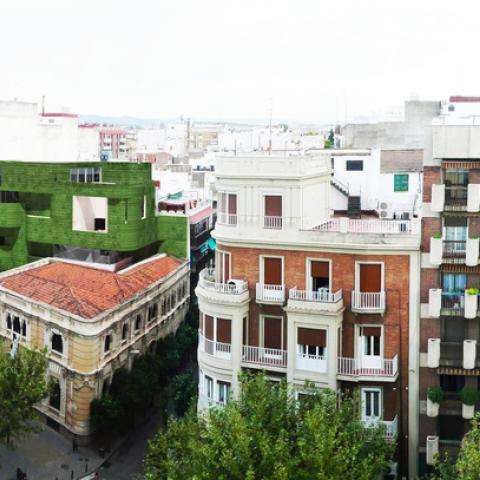 Living Wall - College of Architecture 1