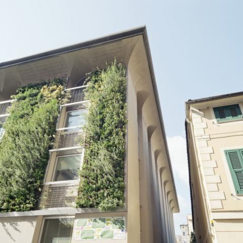 View of the green wall