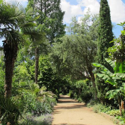 Nizza Mediterrean garden
