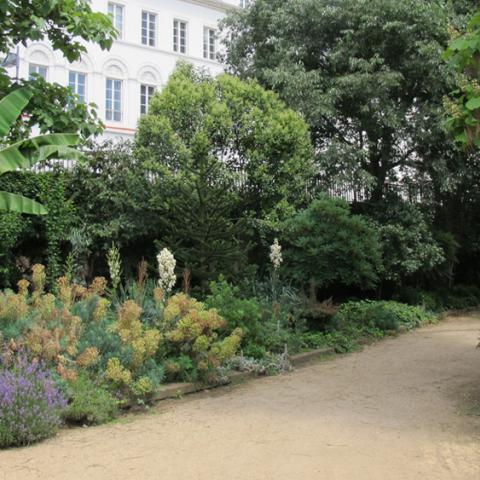 Nizza Mediterrean garden