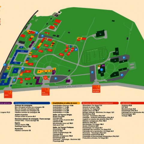 Map showing buildings on a green area