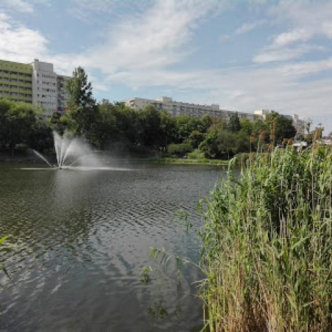 Source: https://www.bdgbo.pl/2017/03/jeszcze-wiecej-drzew-i-krzewow-nad.html