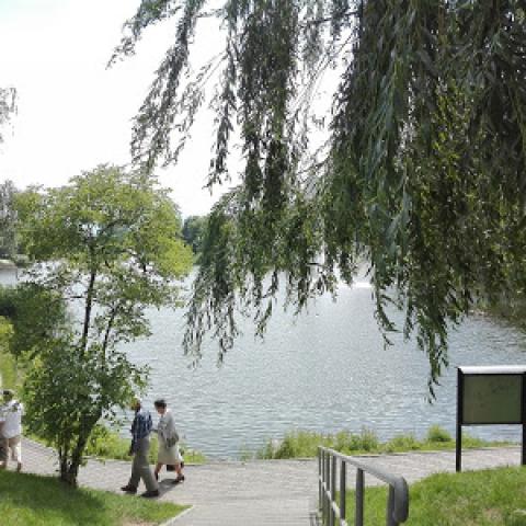 Source: https://www.bdgbo.pl/2017/03/jeszcze-wiecej-drzew-i-krzewow-nad.html